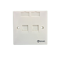 FACE PLATE - DUAL PORT - BS type
