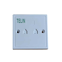 Face Plate - Dual type - 6P4C